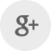 Google +